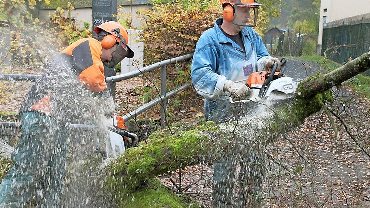 In der Friedhofsstraße mussten zwei Bäume gefällt werden. Die Stämme wurde direkt auf der gesperrten Straße zersägt. Fotos: Heike Beudert
