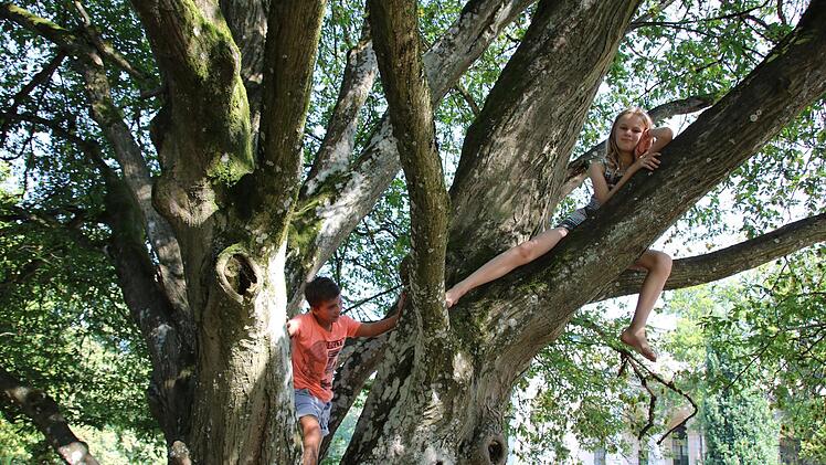 Eindrücke vom Spielplatz im Bad Brückenauer Schlosspark. Foto: Ralf Ruppert