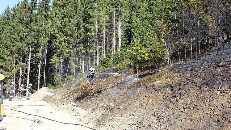 Die Wehrleute bekämpften den Brand.  Foto: Friedwald Schedel