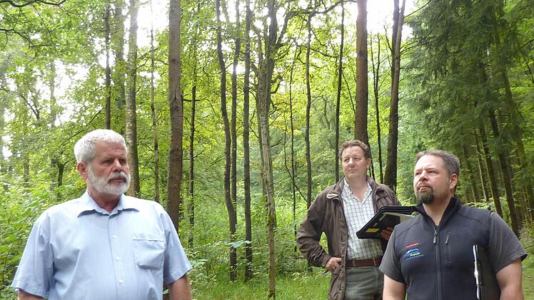 Maik Despang (rechts) führte als Revierleiter der Forstbetriebsgemeinschaft Bürgermeister, Räte und Bürger durch den Wald.