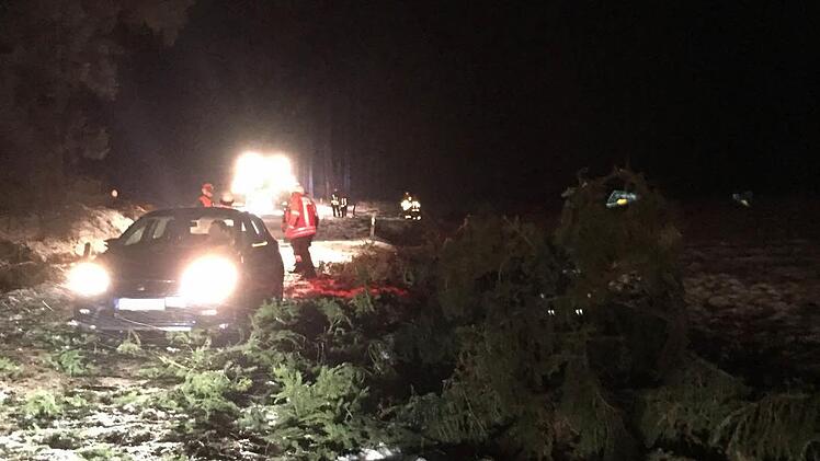 Mit Schutzkleidung und Motorsägen ausgestattet, beseitigten die Einsatzkräfte das umgestürzte Geäst. Foto: Feuerwehr Thurnau