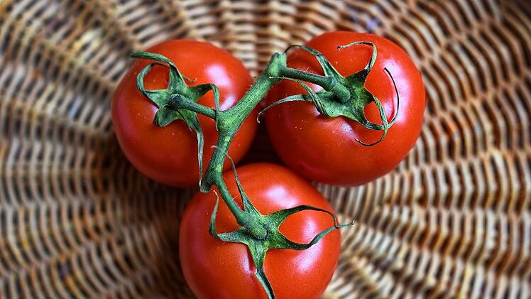 Gesund und beliebt sind Tomaten.