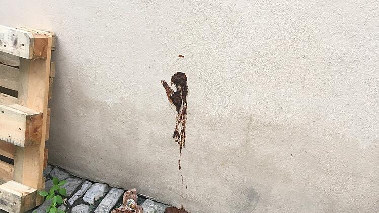 Bamberg: Hauswand wird als &ouml;ffentliche Toilette missbraucht - Anwohner schildert krasse Szenen