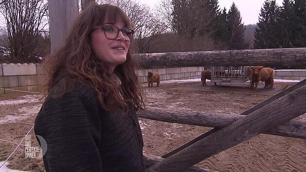 Die schottischen Hochlandrinder liegen Lena besonders am Herzen.