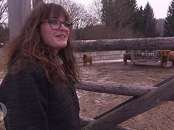 Die schottischen Hochlandrinder liegen Lena besonders am Herzen.