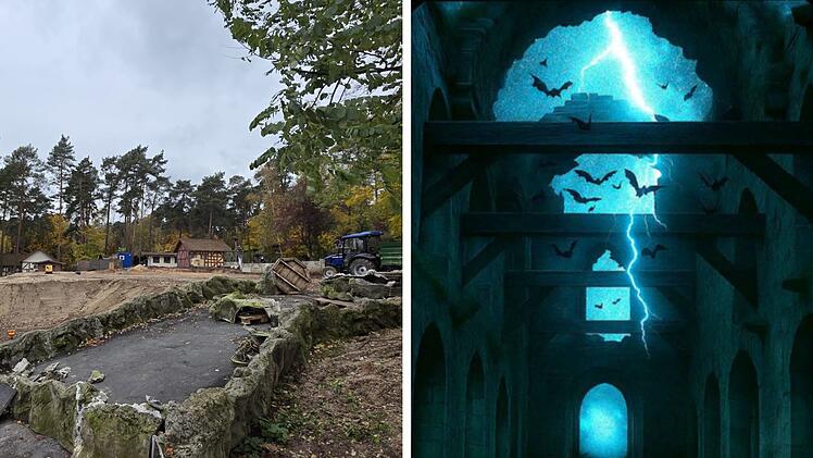 SplitImage 1762519959