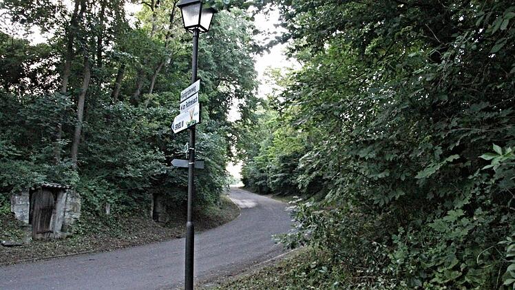 Bisher steht an der Einmündung Kellerstraße/Zum Brauhaus nur diese eine Lampe. Künftig sollen zwei weitere Lampen in der Verlängerung zum Sandgrubenweg für mehr Licht sorgen. Foto: Helmut Will