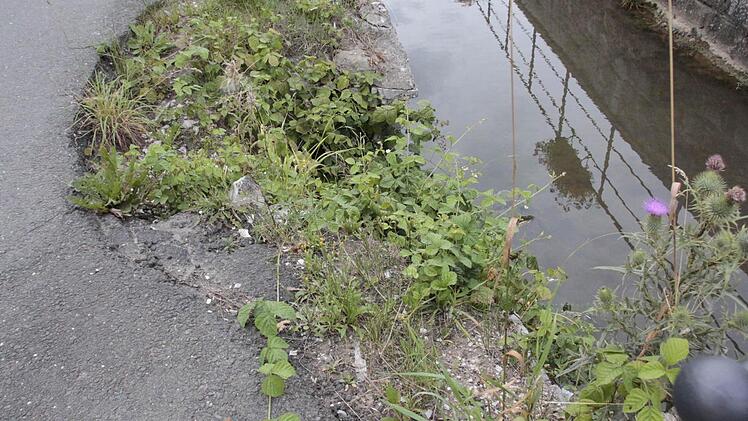 Die Uferbereiche des Fischbaches, der durch Rüssenbach fließt, sind dringend sanierungbedürfig. Dies gilt auch für die Straße, die Risse, Verdrückungen und Löcher aufweist.