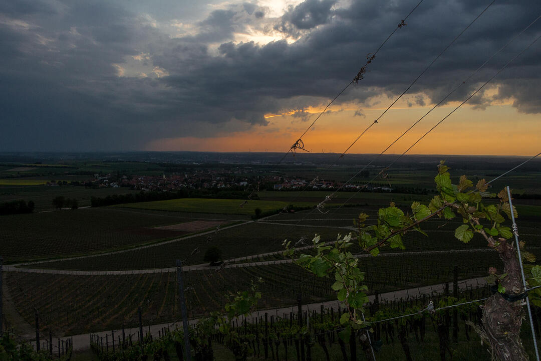 Fotos Konrad Thomann