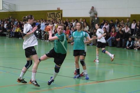 Handball Marktsteft/Rödelsee - 1. FC Nürnberg