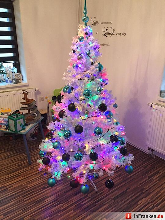 Weihnachten in Franken: Die Christbäume unserer Leser