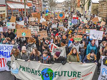 Am 1. Februar 2019 zog die erste Fridays-for-Future-Demo durch Bamberger Straßen. Foto: Ronald Rinklef/Archiv