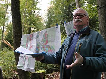 Pressekonferenz unter Bäumen: Forstbetriebsleiter Wolfram Zeller präsentierte das Naturschutzkonzept des Forstbetriebs. Foto: Ulrike Müller
