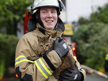 Wohnungsbrand in Fürth: Feuerwehr rettet Katze und Schlange