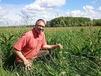 Jens Dauber im Wildblumenacker von Friedrich Mährlein. Foto: Dr. Doreen Gabriel