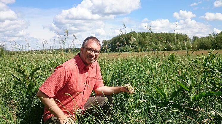 Jens Dauber im Wildblumenacker von Friedrich Mährlein. Foto: Dr. Doreen Gabriel