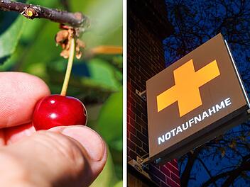 Frau st&uuml;rzt schwer beim Kirschenpfl&uuml;cken im Kreis Forchheim