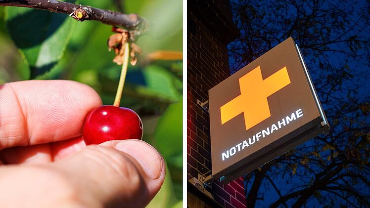 Frau st&uuml;rzt schwer beim Kirschenpfl&uuml;cken im Kreis Forchheim