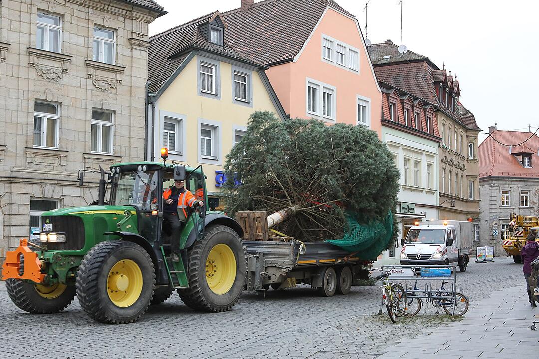 Christbaum kommt aus Schlaifhausen  auf den Forchheimer Rathausplatz
