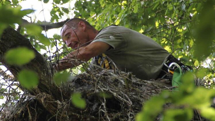 Ein Griff unter die Decke und zack! Der Ring ist dran...