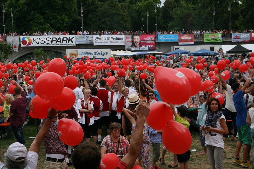 Rakoczy-Fest 2015 Bad Kissingen