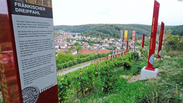 Der neue Aussichtspunkt "terroir f" sei ein "touristischer Leckerbissen", würdigte Bürgermeister Alfred Gündling das Projekt. Foto: Gerd Schaar/Archiv