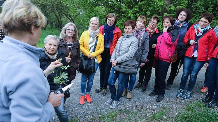 Kräuterseminar: Impressionen einer Entdeckungsreise Foto: Barbara Herbst