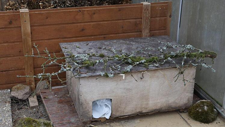 Foto: Barbara Herbst