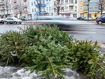Erlangen: Christbäume werden noch bis Freitag abgeholt - auch Abgabe möglich