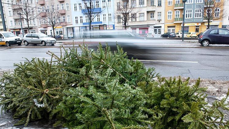 Erlangen: Christbäume werden noch bis Freitag abgeholt - auch Abgabe möglich