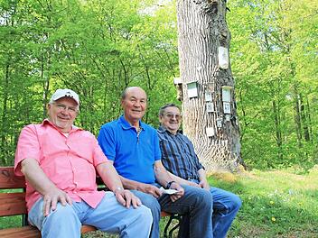 Sitzprobe: Es sitzt sich gut auf der neuen Bank neben der Bildeiche finden Rainer Kirch, Herbert Schmid und Franz Endres.Foto: Heike Beudert