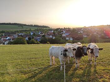 Die kleinste Gemeinde im Landkreis hat besonders viel Natur zu bieten, dafür gibt es wegen der hügeligen Lage wenig Gewerbeflächen. Foto: Julia Raab