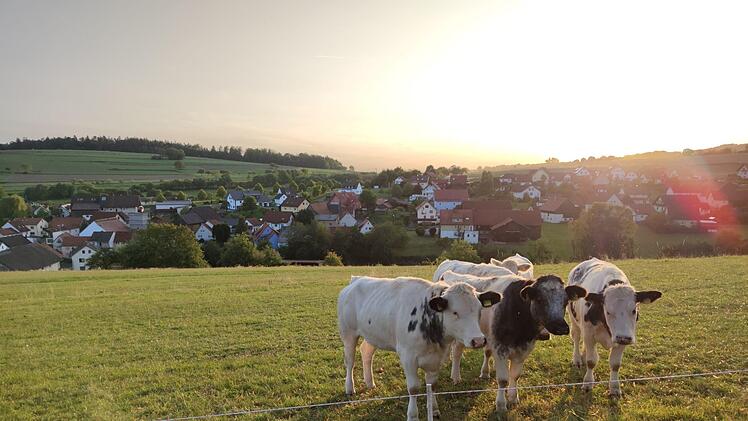 Die kleinste Gemeinde im Landkreis hat besonders viel Natur zu bieten, dafür gibt es wegen der hügeligen Lage wenig Gewerbeflächen. Foto: Julia Raab