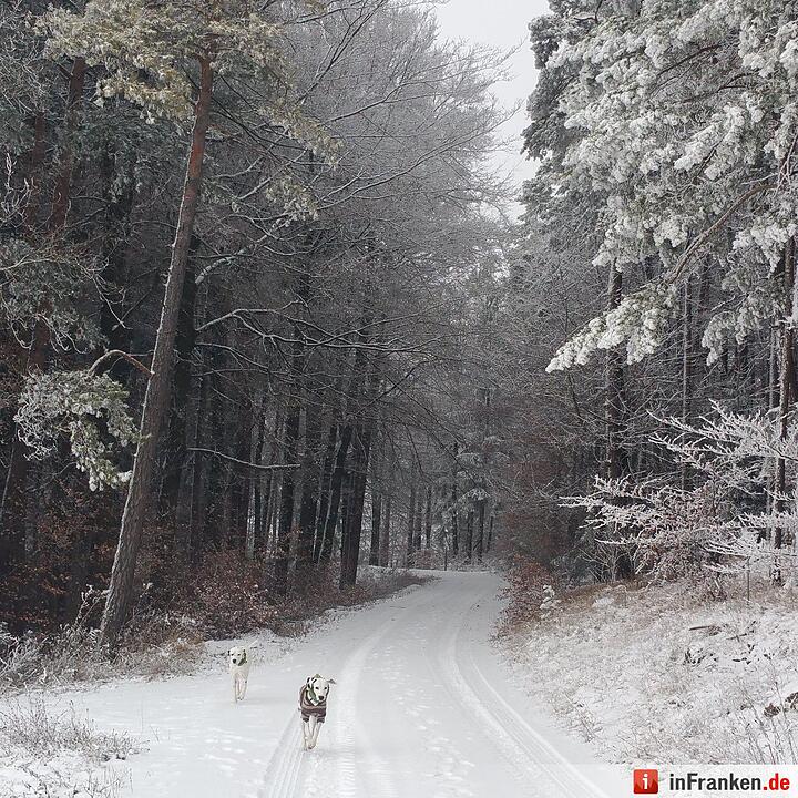 Schnee in Franken Januar 2017 - Leserfotos