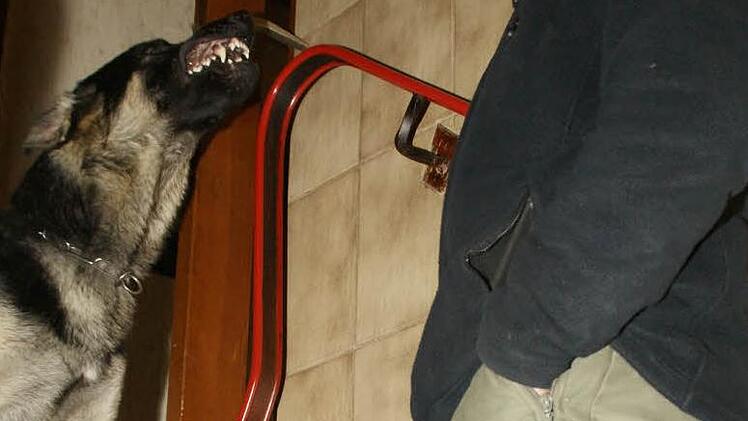 Irax verbellt einen "Einbrecher" (dargestellt von einem Polizeibeamten).