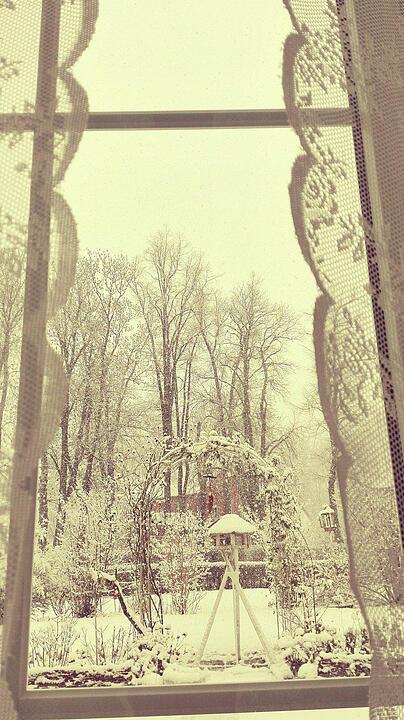 Schnee und Eis - Die schönsten Aufnahmen aus Franken