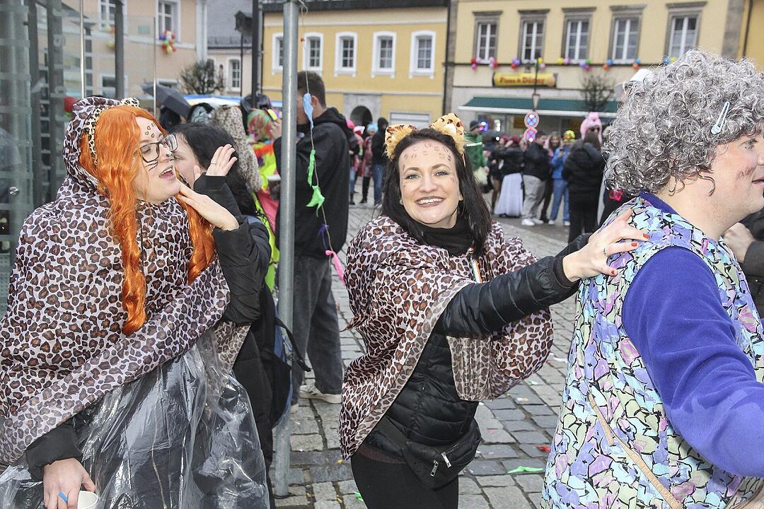 Narrentreiben in Stadtsteinach 2024