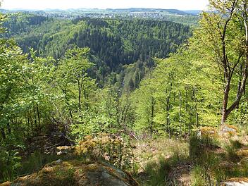 Das Foto zeigt den Blick hinab ins Höllental im Frankenwald nahe der Gemeinde Lichtenberg. Foto: Thomas Kraemer/dpa