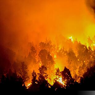 Waldbrand auf der Kanarischen Insel