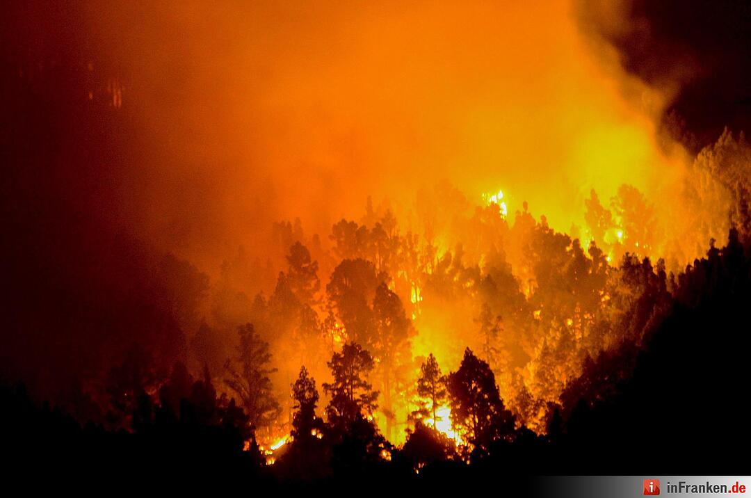 Waldbrand auf der Kanarischen Insel