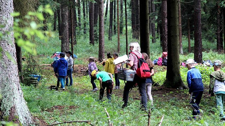 Schüler und Lehrer verbrachten einen Schultag im Wald.   Foto: Richard Sänger