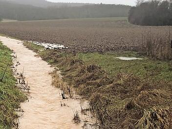 Sturzbäche sorgen für einen Verlust von Humus und Wasser.