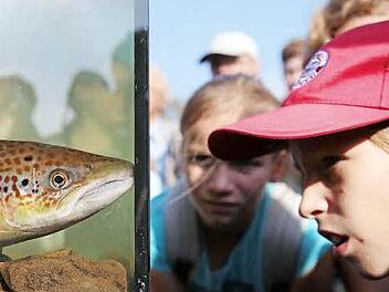 Kinder beobachten einen Lachs - und umgekehrt. Foto: Oliver Berg dpa