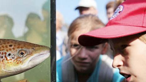 Kinder beobachten einen Lachs - und umgekehrt. Foto: Oliver Berg dpa