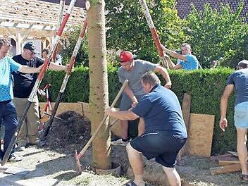 Unter dem Kommando von Paul Bräunig war der Kerwabaum in Hesselberg zügig aufgestellt. Foto: Manfred Welker