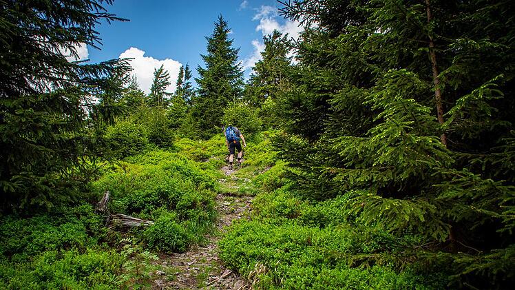 Beginn ist beim Fränkischen Gebirgsweg der Rennsteig an der oberfränkisch-thüringischen Grenze.