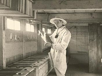 Vor sechzig Jahren begann Karl Fischer eine Lehre zum Berufsimker.