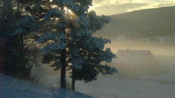Haig präsentiert sich in märchenhafter Atmosphäre. Foto: Roger Fröba