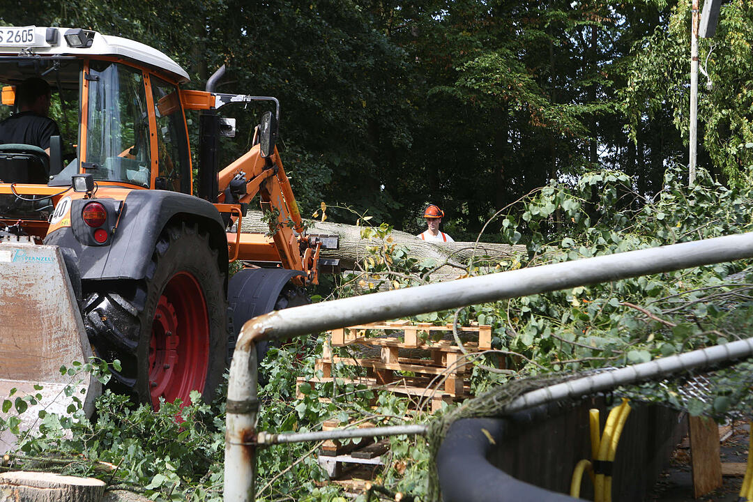 Aufraeumarbeiten in Bamberg nach schwerem Unwetter