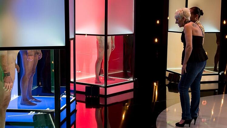 Aufs Gesicht kommt es erst zum Schluss an: Erst mal werden bei "Naked Attraction" ausgiebig die Geschlechtsteile begutachtet.